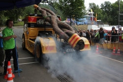 IMG0245xl
